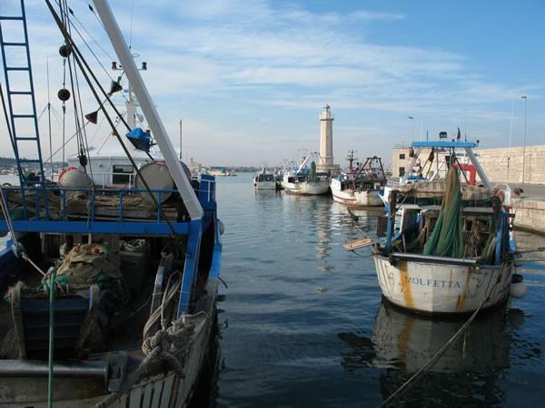 Bonifica del porto di Molfetta